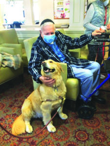 Pet Therapy - P20220005  -  2022; Pet Therapy