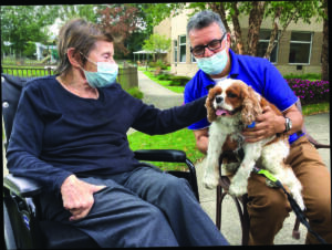 Pet Therapy - P20220018  - 2022; Pet Therapy